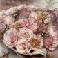 Blushing Beauty